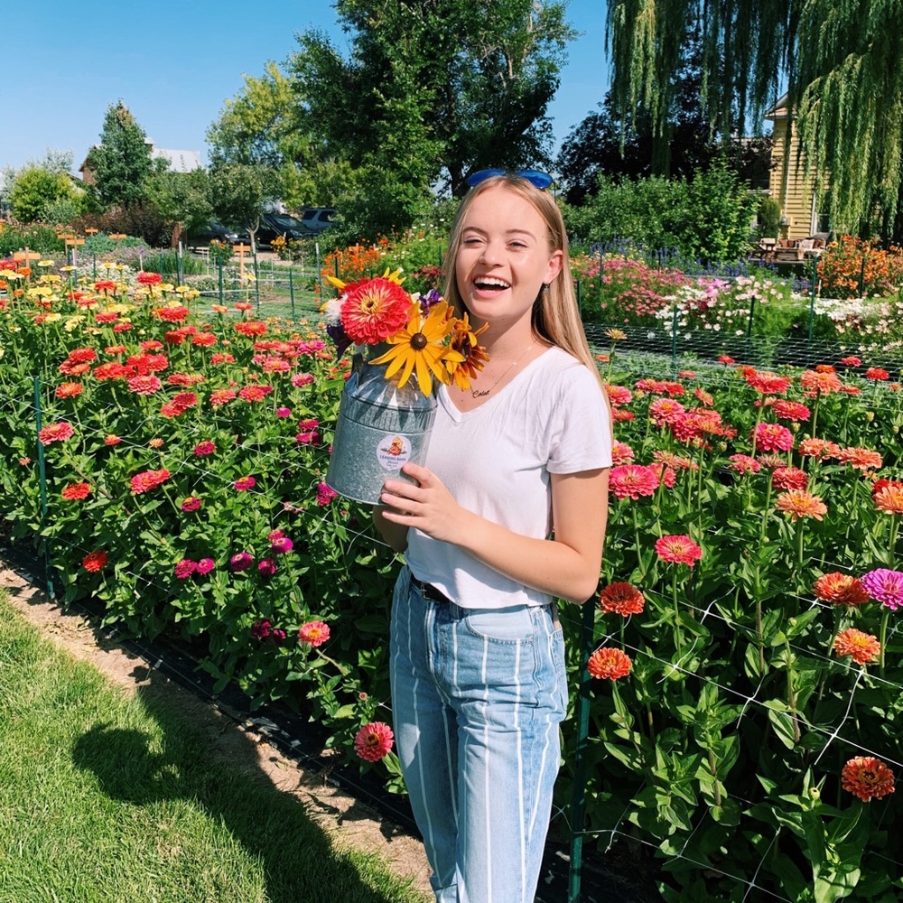 Meet your Posher, Jordan